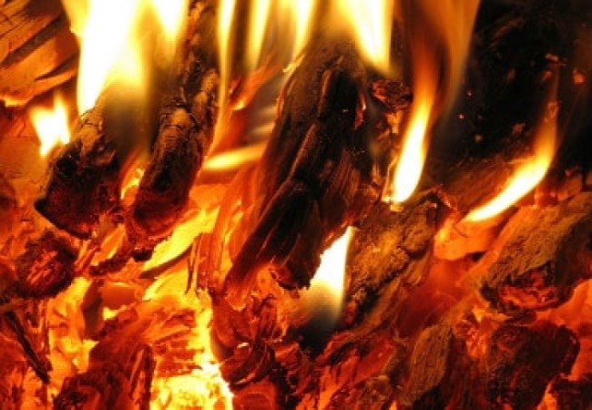 Дрова – эффективный вид топливного материала-Чем лучше топить печь