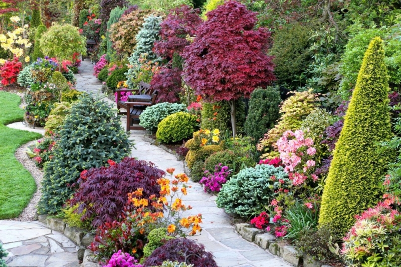 Цветущие растения для сада в тени: советы по выбору