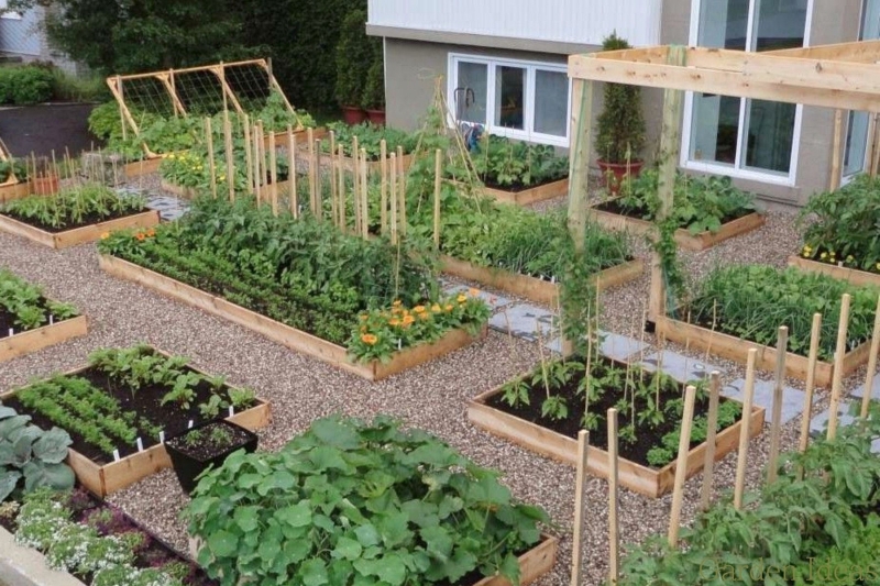 Огородные секреты: создаем уютный уголок для выращивания овощей и зелени