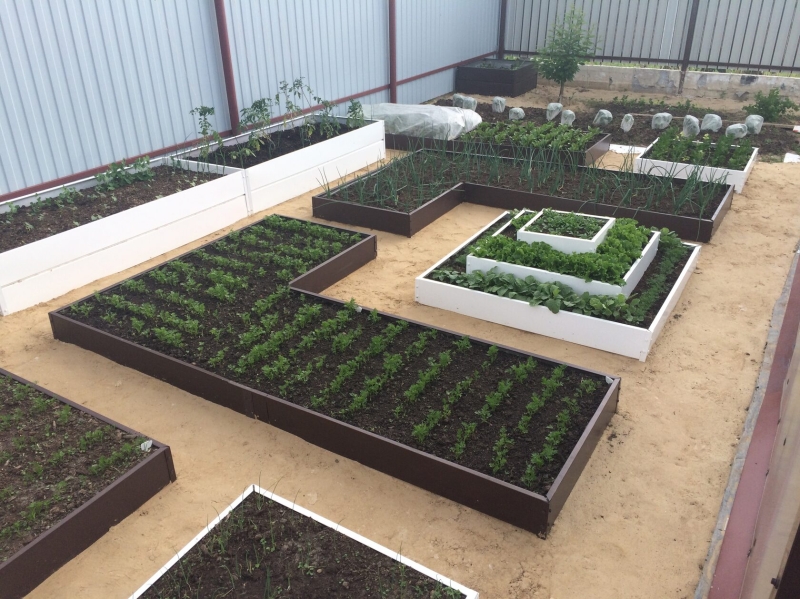 Огородные секреты: создаем уютный уголок для выращивания овощей и зелени